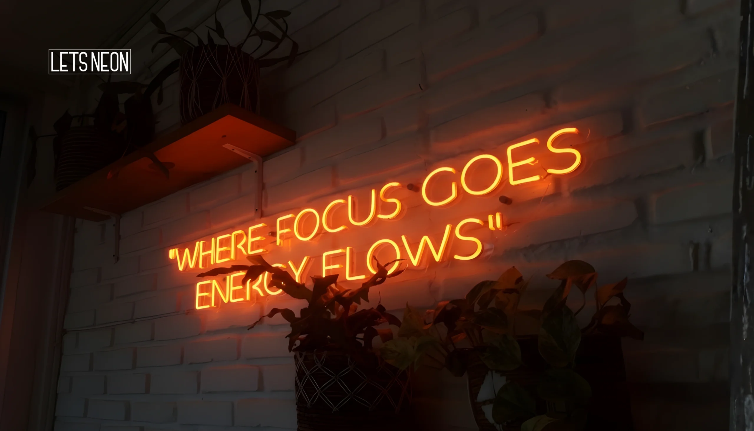 Neon signs glowing on wall at night.